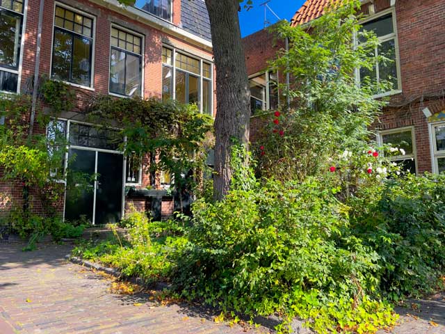Groene Stad